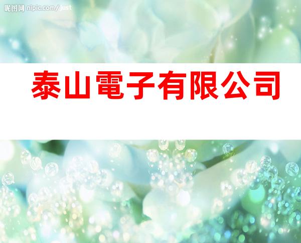 泰山電子有限公司